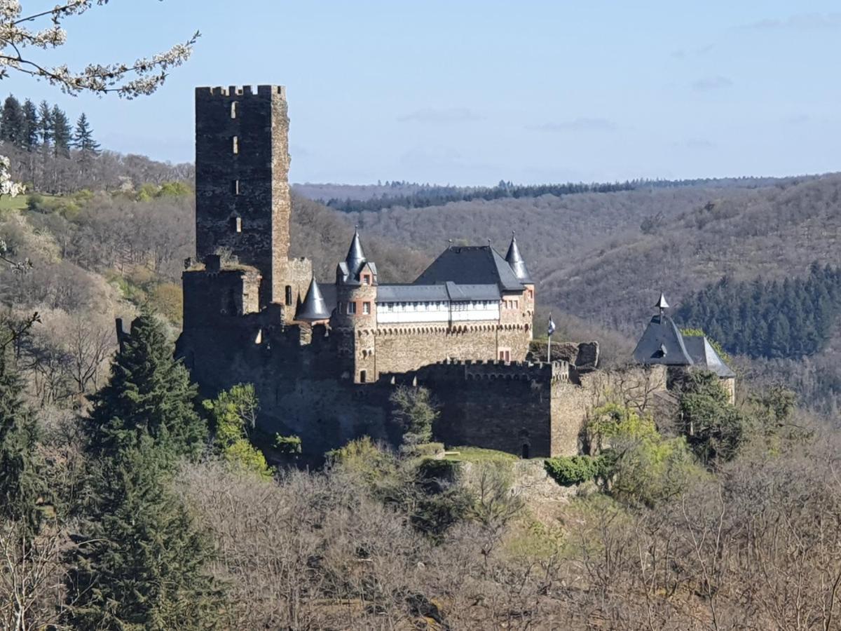Appartement Am Burggraben Auf Der Sauerburg à Sauerthal Extérieur photo